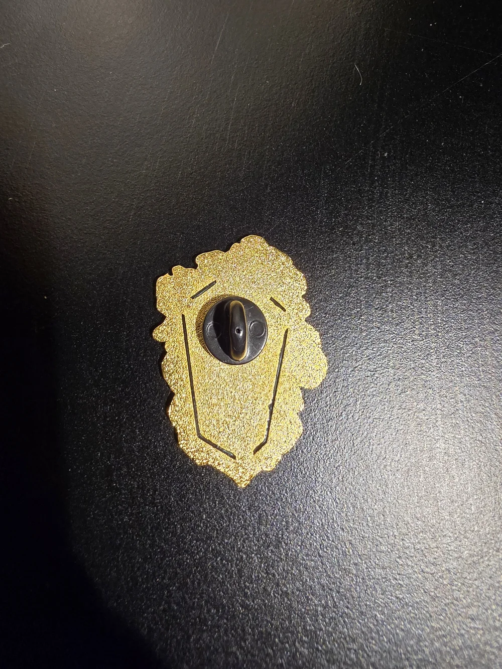 Bookish Book Box A Kiss Of Iron Pin Rare The Knight Queen's Shadow